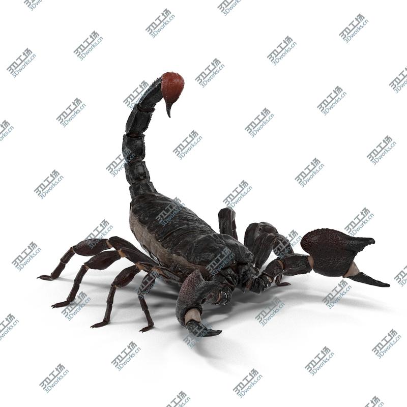 images/goods_img/20210319/Insects Big 3D Models Collection 3D model/3.jpg